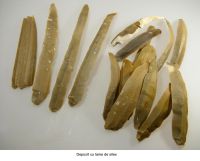 Cronica Cercetărilor Arheologice din România, Campania 2006. Raportul nr. 140, Pietrele, Gorgana<br /><a href='CronicaCAfotografii/2006/140/rsz-5.jpg' target=_blank>Priveşte aceeaşi imagine într-o fereastră nouă</a>