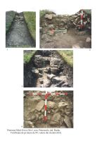 Cronica Cercetărilor Arheologice din România, Campania 2006. Raportul nr. 141, Pietroasa Mică, Gruiu Dării<br /><a href='CronicaCAfotografii/2006/141/rsz-0.jpg' target=_blank>Priveşte aceeaşi imagine într-o fereastră nouă</a>