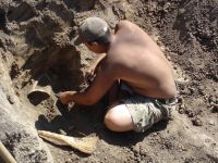 Cronica Cercetărilor Arheologice din România, Campania 2006. Raportul nr. 153, Dulceşti, Ferma legumicolă<br /><a href='CronicaCAfotografii/2006/153/rsz-1.jpg' target=_blank>Priveşte aceeaşi imagine într-o fereastră nouă</a>