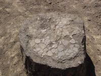 Cronica Cercetărilor Arheologice din România, Campania 2006. Raportul nr. 153, Dulceşti, Ferma legumicolă<br /><a href='CronicaCAfotografii/2006/153/rsz-10.jpg' target=_blank>Priveşte aceeaşi imagine într-o fereastră nouă</a>