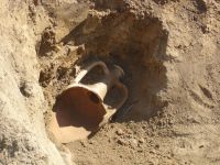 Cronica Cercetărilor Arheologice din România, Campania 2006. Raportul nr. 153, Dulceşti, Ferma legumicolă<br /><a href='CronicaCAfotografii/2006/153/rsz-2.jpg' target=_blank>Priveşte aceeaşi imagine într-o fereastră nouă</a>