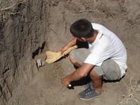 Cronica Cercetărilor Arheologice din România, Campania 2006. Raportul nr. 153, Dulceşti, Ferma legumicolă<br /><a href='CronicaCAfotografii/2006/153/rsz-3.jpg' target=_blank>Priveşte aceeaşi imagine într-o fereastră nouă</a>