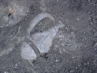 Cronica Cercetărilor Arheologice din România, Campania 2006. Raportul nr. 153, Dulceşti, Ferma legumicolă<br /><a href='CronicaCAfotografii/2006/153/rsz-4.jpg' target=_blank>Priveşte aceeaşi imagine într-o fereastră nouă</a>