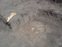 Cronica Cercetărilor Arheologice din România, Campania 2006. Raportul nr. 153, Dulceşti, Ferma legumicolă<br /><a href='CronicaCAfotografii/2006/153/rsz-6.jpg' target=_blank>Priveşte aceeaşi imagine într-o fereastră nouă</a>