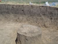 Cronica Cercetărilor Arheologice din România, Campania 2006. Raportul nr. 153, Dulceşti, Ferma legumicolă<br /><a href='CronicaCAfotografii/2006/153/rsz-7.jpg' target=_blank>Priveşte aceeaşi imagine într-o fereastră nouă</a>