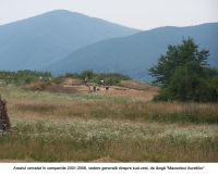 Chronicle of the Archaeological Excavations in Romania, 2006 Campaign. Report no. 156, Sarmizegetusa, La Cireş.<br /> Sector necropola.<br /><a href='CronicaCAfotografii/2006/156/rsz-0.jpg' target=_blank>Display the same picture in a new window</a>