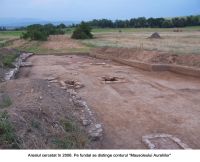 Chronicle of the Archaeological Excavations in Romania, 2006 Campaign. Report no. 156, Sarmizegetusa, La Cireş.<br /> Sector necropola.<br /><a href='CronicaCAfotografii/2006/156/rsz-1.jpg' target=_blank>Display the same picture in a new window</a>