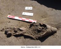 Cronica Cercetărilor Arheologice din România, Campania 2006. Raportul nr. 177, Stelnica, Grădiştea Mare<br /><a href='CronicaCAfotografii/2006/177/rsz-3.jpg' target=_blank>Priveşte aceeaşi imagine într-o fereastră nouă</a>