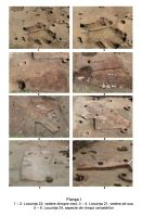 Cronica Cercetărilor Arheologice din România, Campania 2006. Raportul nr. 186, Păuleni-Ciuc, Dâmbul Cetăţii (Dealul Cetăţii, Vardomb).<br /> Sectorul album2.<br /><a href='CronicaCAfotografii/2006/186/rsz-0.jpg' target=_blank>Priveşte aceeaşi imagine într-o fereastră nouă</a>