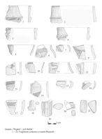 Cronica Cercetărilor Arheologice din România, Campania 2006. Raportul nr. 187, Şuţeşti, Valul lui Traian (Fortificaţie)<br /><a href='CronicaCAfotografii/2006/187/rsz-1.jpg' target=_blank>Priveşte aceeaşi imagine într-o fereastră nouă</a>