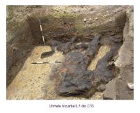 Cronica Cercetărilor Arheologice din România, Campania 2006. Raportul nr. 190, Târgu Mureş, Cetate (Cetatea medievală, Dealul Cetăţii)<br /><a href='CronicaCAfotografii/2006/190/rsz-23.jpg' target=_blank>Priveşte aceeaşi imagine într-o fereastră nouă</a>