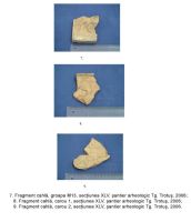 Cronica Cercetărilor Arheologice din România, Campania 2006. Raportul nr. 191, Târgu Trotuş, Ţârna Nouă<br /><a href='CronicaCAfotografii/2006/191/rsz-2.jpg' target=_blank>Priveşte aceeaşi imagine într-o fereastră nouă</a>