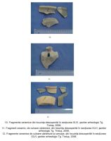 Cronica Cercetărilor Arheologice din România, Campania 2006. Raportul nr. 191, Târgu Trotuş, Ţârna Nouă<br /><a href='CronicaCAfotografii/2006/191/rsz-3.jpg' target=_blank>Priveşte aceeaşi imagine într-o fereastră nouă</a>