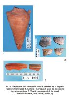 Cronica Cercetărilor Arheologice din România, Campania 2006. Raportul nr. 194, Topalu, Dealul Cichirgeaua (Stânca)<br /><a href='CronicaCAfotografii/2006/194/rsz-4.jpg' target=_blank>Priveşte aceeaşi imagine într-o fereastră nouă</a>