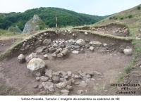 Chronicle of the Archaeological Excavations in Romania, 2006 Campaign. Report no. 209, Cetea, La Pietri<br /><a href='CronicaCAfotografii/2006/209/rsz-10.jpg' target=_blank>Display the same picture in a new window</a>
