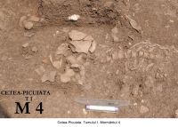 Chronicle of the Archaeological Excavations in Romania, 2006 Campaign. Report no. 209, Cetea, La Pietri<br /><a href='CronicaCAfotografii/2006/209/rsz-2.jpg' target=_blank>Display the same picture in a new window</a>