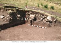 Chronicle of the Archaeological Excavations in Romania, 2006 Campaign. Report no. 209, Cetea, La Pietri<br /><a href='CronicaCAfotografii/2006/209/rsz-6.jpg' target=_blank>Display the same picture in a new window</a>
