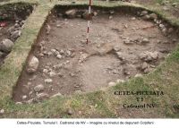 Chronicle of the Archaeological Excavations in Romania, 2006 Campaign. Report no. 209, Cetea, La Pietri<br /><a href='CronicaCAfotografii/2006/209/rsz-7.jpg' target=_blank>Display the same picture in a new window</a>
