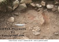 Chronicle of the Archaeological Excavations in Romania, 2006 Campaign. Report no. 209, Cetea, La Pietri<br /><a href='CronicaCAfotografii/2006/209/rsz-8.jpg' target=_blank>Display the same picture in a new window</a>