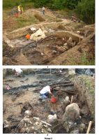 Chronicle of the Archaeological Excavations in Romania, 2007 Campaign. Report no. 17, Beclean, Băile Figa.<br /> Sector Figuri.<br /><a href='CronicaCAfotografii/2007/017-BECLEAN-BN-BaileFiga-C/plansa-v.jpg' target=_blank>Display the same picture in a new window</a>