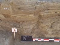 Cronica Cercetărilor Arheologice din România, Campania 2007. Raportul nr. 18, Borduşani, Popina Mare (Popina Borduşani)<br /><a href='CronicaCAfotografii/2007/018-BORDUSANI-IL-Popina-C/2-bordusani-popina-2007-refacerile-podelei-sl-47-detaliu.jpg' target=_blank>Priveşte aceeaşi imagine într-o fereastră nouă</a>