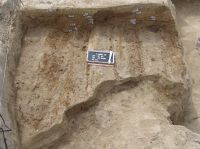 Cronica Cercetărilor Arheologice din România, Campania 2007. Raportul nr. 18, Borduşani, Popina Mare (Popina Borduşani)<br /><a href='CronicaCAfotografii/2007/018-BORDUSANI-IL-Popina-C/4-bordusani-popina-2007-platforma-sl-54-detaliu.jpg' target=_blank>Priveşte aceeaşi imagine într-o fereastră nouă</a>