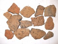 Cronica Cercetărilor Arheologice din România, Campania 2007. Raportul nr. 19, Brăduţ, Dealul Rotund (Muntele de Piatră)<br /><a href='CronicaCAfotografii/2007/019-BRADUT-CV-DealulRotund-C/DSCF0706.jpg' target=_blank>Priveşte aceeaşi imagine într-o fereastră nouă</a>