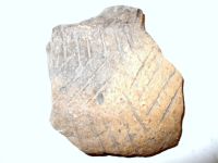 Cronica Cercetărilor Arheologice din România, Campania 2007. Raportul nr. 19, Brăduţ, Dealul Rotund (Muntele de Piatră)<br /><a href='CronicaCAfotografii/2007/019-BRADUT-CV-DealulRotund-C/DSCF0721.jpg' target=_blank>Priveşte aceeaşi imagine într-o fereastră nouă</a>