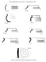 Chronicle of the Archaeological Excavations in Romania, 2007 Campaign. Report no. 20, Brăneşti, La Şanţuri<br /><a href='CronicaCAfotografii/2007/020-BRANESTI-IF-LaSanturi-C/plansa-3.jpg' target=_blank>Display the same picture in a new window</a>