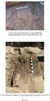 Chronicle of the Archaeological Excavations in Romania, 2007 Campaign. Report no. 27, Bucureşti<br /><a href='CronicaCAfotografii/2007/027-BUCURESTI-B-CI-strFranceza-C/fig-4.jpg' target=_blank>Display the same picture in a new window</a>