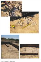 Chronicle of the Archaeological Excavations in Romania, 2007 Campaign. Report no. 41, Cheia, Vatra satului.<br /> Sector ILUSTRATIE-CHEIA-2017.<br /><a href='CronicaCAfotografii/2007/041-CHEIA-CT-Vatra-satului-C/2.jpg' target=_blank>Display the same picture in a new window</a>