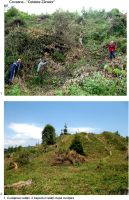 Cronica Cercetărilor Arheologice din România, Campania 2007. Raportul nr. 57, Covasna, Cetatea Zânelor (Muntele Cetăţii, Valea Zânelor, Dealul Zânelor)<br /><a href='CronicaCAfotografii/2007/057-COVASNA-CV-CetZanelor-C/curatenie.jpg' target=_blank>Priveşte aceeaşi imagine într-o fereastră nouă</a>