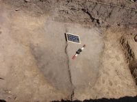 Cronica Cercetărilor Arheologice din România, Campania 2007. Raportul nr. 69, Fulgeriş, La Trei Cireşi (Dealul Fulgeriş).<br /> Sectorul Ilustratie.<br /><a href='CronicaCAfotografii/2007/069-FULGERIS-BC-La3Ciresi-C/fig-10b.jpg' target=_blank>Priveşte aceeaşi imagine într-o fereastră nouă</a>