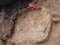 Cronica Cercetărilor Arheologice din România, Campania 2007. Raportul nr. 69, Fulgeriş, La Trei Cireşi (Dealul Fulgeriş).<br /> Sectorul Ilustratie.<br /><a href='CronicaCAfotografii/2007/069-FULGERIS-BC-La3Ciresi-C/fig-4b.jpg' target=_blank>Priveşte aceeaşi imagine într-o fereastră nouă</a>