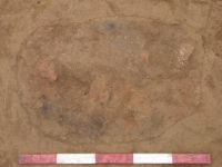 Cronica Cercetărilor Arheologice din România, Campania 2007. Raportul nr. 69, Fulgeriş, La Trei Cireşi (Dealul Fulgeriş).<br /> Sectorul Ilustratie.<br /><a href='CronicaCAfotografii/2007/069-FULGERIS-BC-La3Ciresi-C/fig-5a.jpg' target=_blank>Priveşte aceeaşi imagine într-o fereastră nouă</a>