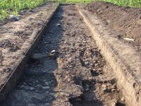 Cronica Cercetărilor Arheologice din România, Campania 2007. Raportul nr. 69, Fulgeriş, La Trei Cireşi (Dealul Fulgeriş).<br /> Sectorul Ilustratie.<br /><a href='CronicaCAfotografii/2007/069-FULGERIS-BC-La3Ciresi-C/fig-6b.jpg' target=_blank>Priveşte aceeaşi imagine într-o fereastră nouă</a>