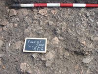 Cronica Cercetărilor Arheologice din România, Campania 2007. Raportul nr. 69, Fulgeriş, La Trei Cireşi (Dealul Fulgeriş).<br /> Sectorul Ilustratie.<br /><a href='CronicaCAfotografii/2007/069-FULGERIS-BC-La3Ciresi-C/fig-7b.jpg' target=_blank>Priveşte aceeaşi imagine într-o fereastră nouă</a>