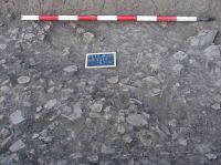 Cronica Cercetărilor Arheologice din România, Campania 2007. Raportul nr. 69, Fulgeriş, La Trei Cireşi (Dealul Fulgeriş).<br /> Sectorul Ilustratie.<br /><a href='CronicaCAfotografii/2007/069-FULGERIS-BC-La3Ciresi-C/fig-8a.jpg' target=_blank>Priveşte aceeaşi imagine într-o fereastră nouă</a>