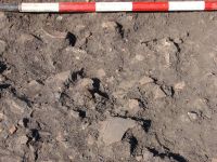 Cronica Cercetărilor Arheologice din România, Campania 2007. Raportul nr. 69, Fulgeriş, La Trei Cireşi (Dealul Fulgeriş).<br /> Sectorul Ilustratie.<br /><a href='CronicaCAfotografii/2007/069-FULGERIS-BC-La3Ciresi-C/fig-8b.jpg' target=_blank>Priveşte aceeaşi imagine într-o fereastră nouă</a>