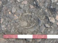 Cronica Cercetărilor Arheologice din România, Campania 2007. Raportul nr. 69, Fulgeriş, La Trei Cireşi (Dealul Fulgeriş).<br /> Sectorul Ilustratie.<br /><a href='CronicaCAfotografii/2007/069-FULGERIS-BC-La3Ciresi-C/fig-9b.jpg' target=_blank>Priveşte aceeaşi imagine într-o fereastră nouă</a>