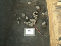 Cronica Cercetărilor Arheologice din România, Campania 2007. Raportul nr. 84, Isaiia, Balta Popii<br /><a href='CronicaCAfotografii/2007/084-ISAIIA-IS-BaltaPopii-C/fig-1-4.JPG' target=_blank>Priveşte aceeaşi imagine într-o fereastră nouă</a>