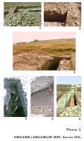 Chronicle of the Archaeological Excavations in Romania, 2007 Campaign. Report no. 88, Jurilovca, Capul Dolojman.<br /> Sector 02-poze-sector-central.<br /><a href='CronicaCAfotografii/2007/088-JURILOVCA-TL-Argamum-C/plansa-2.jpg' target=_blank>Display the same picture in a new window</a>