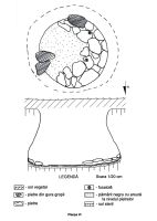 Cronica Cercetărilor Arheologice din România, Campania 2007. Raportul nr. 91, Leliceni, Muntele cu piatră (Muntele de Piatră, Köhegy)<br /><a href='CronicaCAfotografii/2007/091-LELICENI-HR-MuntelecuPiatra-3/pl-vi.jpg' target=_blank>Priveşte aceeaşi imagine într-o fereastră nouă</a>