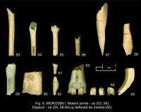 Chronicle of the Archaeological Excavations in Romania, 2007 Campaign. Report no. 103, Măgura, Teleor 003 (Buduiasca, Boldul lui Moş Ivănuş).<br /> Sector 01-poze-IMDA.<br /><a href='CronicaCAfotografii/2007/103-MAGURA-TR-Buduiasca-1/03-materii-prime-os-53-55-deseuri-os-54-56-64-si-defensa-de-mistret-65.jpg' target=_blank>Display the same picture in a new window</a>