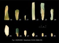 Chronicle of the Archaeological Excavations in Romania, 2007 Campaign. Report no. 103, Măgura, Teleor 003 (Buduiasca, Boldul lui Moş Ivănuş).<br /> Sector 01-poze-IMDA.<br /><a href='CronicaCAfotografii/2007/103-MAGURA-TR-Buduiasca-1/04netezitoare-19-29-daltita-30.jpg' target=_blank>Display the same picture in a new window</a>