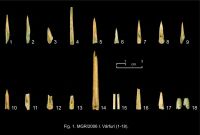 Cronica Cercetărilor Arheologice din România, Campania 2007. Raportul nr. 103, Măgura, Teleor 003 (Buduiasca, Boldul lui Moş Ivănuş).<br /> Sectorul 01-poze-IMDA.<br /><a href='CronicaCAfotografii/2007/103-MAGURA-TR-Buduiasca-1/06varfuri-1-18.jpg' target=_blank>Priveşte aceeaşi imagine într-o fereastră nouă</a>