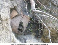 Cronica Cercetărilor Arheologice din România, Campania 2007. Raportul nr. 108, Negrileşti, Şcoala Generală (La Punte, Pin, Curtea Şcolii).<br /> Sectorul plansa-IMDA.<br /><a href='CronicaCAfotografii/2007/108-NEGRILESTI-GL-Zaharia-2/pl-sa1b.jpg' target=_blank>Priveşte aceeaşi imagine într-o fereastră nouă</a>