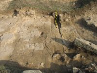 Cronica Cercetărilor Arheologice din România, Campania 2007. Raportul nr. 120, Pantelimon, Cetate<br /><a href='CronicaCAfotografii/2007/120-PANTELIMONU-DE-SUS-CT-Ulmetum-2/4-ulmetum-2007-bazilica-nava-de-sud.JPG' target=_blank>Priveşte aceeaşi imagine într-o fereastră nouă</a>