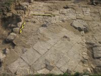 Cronica Cercetărilor Arheologice din România, Campania 2007. Raportul nr. 120, Pantelimon, Cetate<br /><a href='CronicaCAfotografii/2007/120-PANTELIMONU-DE-SUS-CT-Ulmetum-2/5-ulmetum-2007-bazilica-pavaj-bema.JPG' target=_blank>Priveşte aceeaşi imagine într-o fereastră nouă</a>