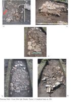 Cronica Cercetărilor Arheologice din România, Campania 2007. Raportul nr. 125, Pietroasa Mică, Gruiu Dării<br /><a href='CronicaCAfotografii/2007/125-PIETROASA-MICA-BZ-Gruiu-Darii-2/plansa-gd.jpg' target=_blank>Priveşte aceeaşi imagine într-o fereastră nouă</a>